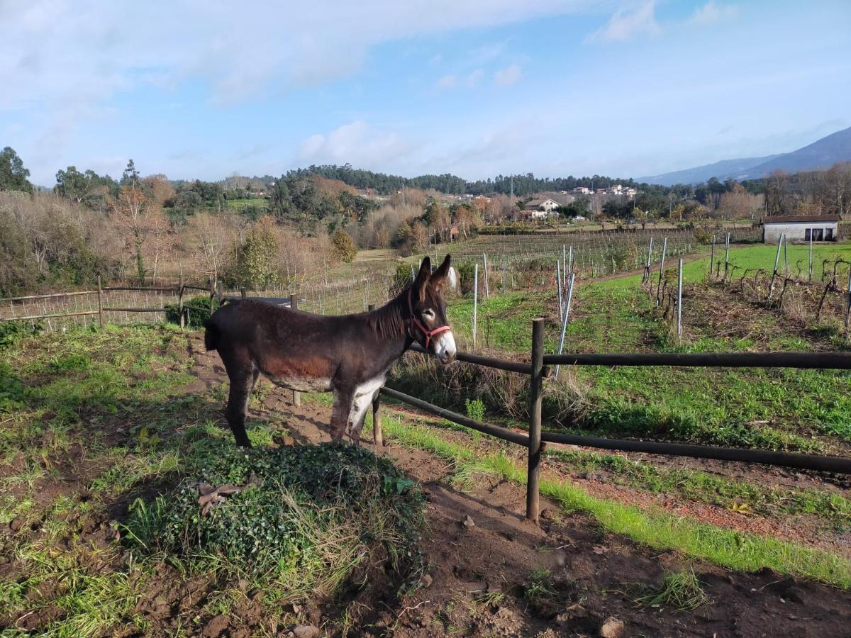 Quinta Da Lage Agroturismo E Enoturismo Селоріку-де-Башту Екстер'єр фото