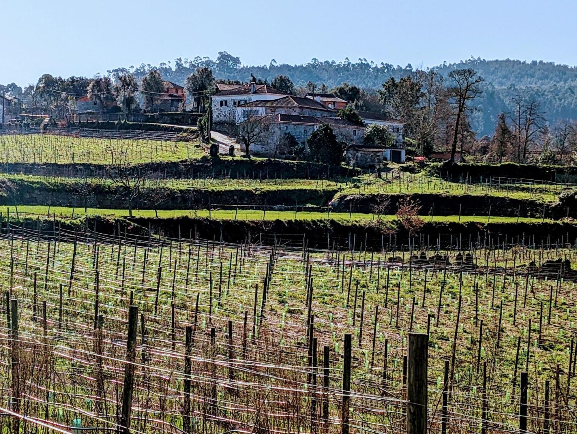 Quinta Da Lage Agroturismo E Enoturismo Селоріку-де-Башту Екстер'єр фото