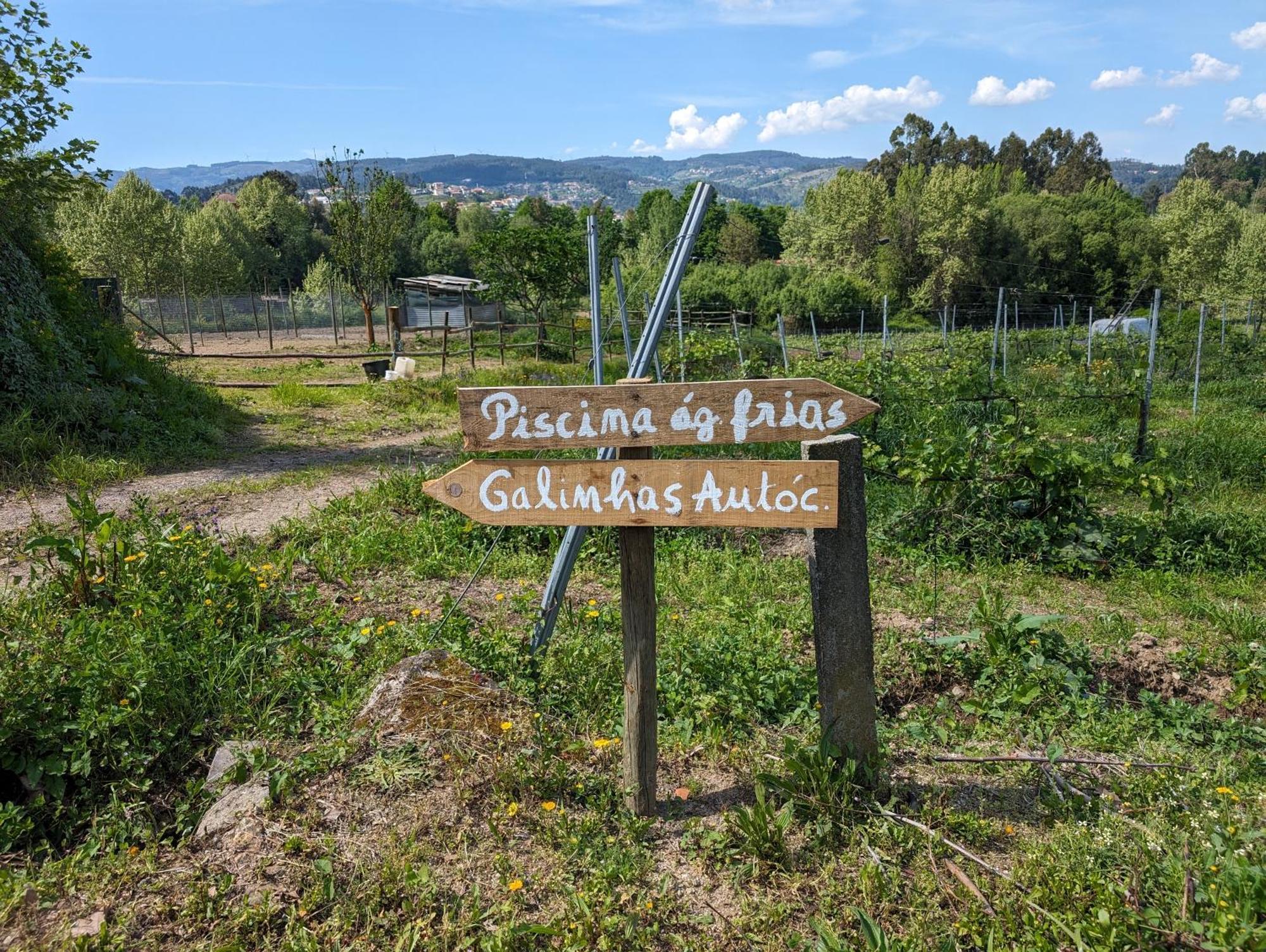 Quinta Da Lage Agroturismo E Enoturismo Селоріку-де-Башту Екстер'єр фото